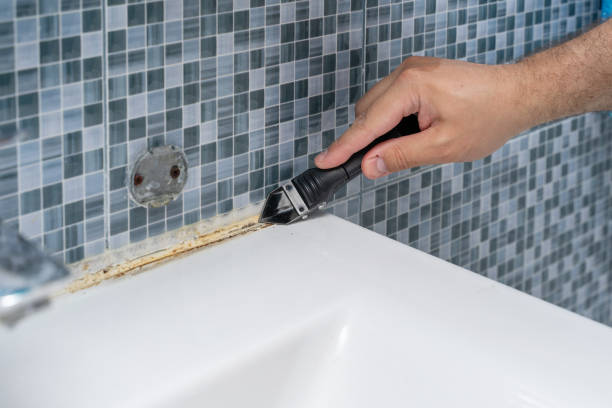 Best Emergency Mold Removal  in Conrad, IA