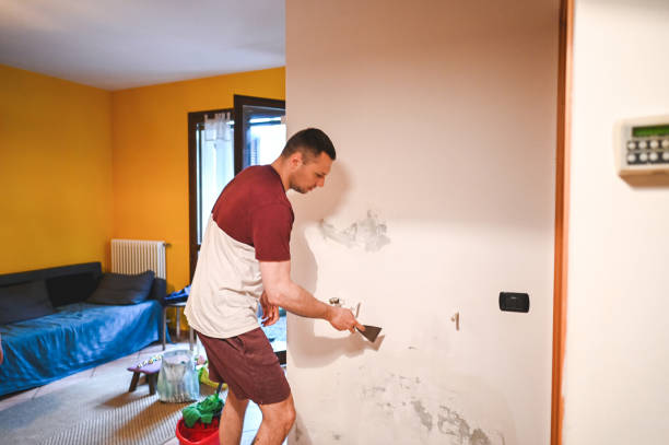 Best Mold Remediation Services  in Conrad, IA