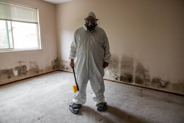 Best Local Mold Removal Service  in Conrad, IA